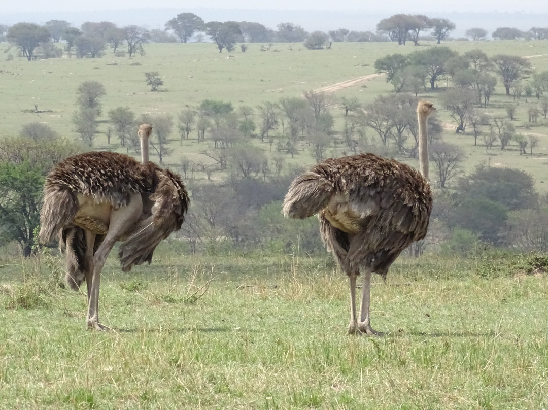 Pottos Adventures-阿鲁沙必去景点