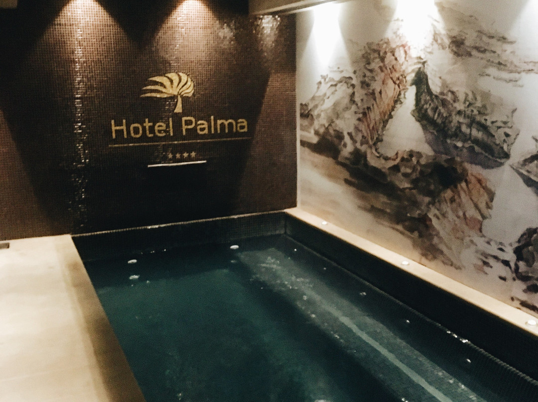 Hotel Palma主图