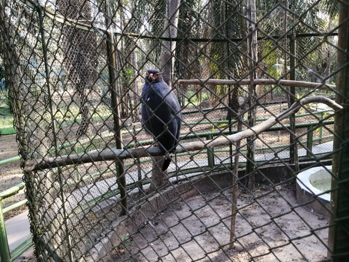 Parque Natural de Pucallpa-Pucallpa必去景点