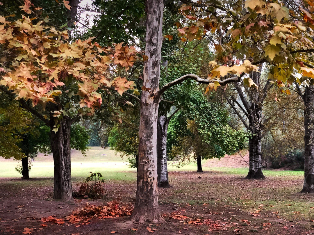 Parco Urbano Franco Agosto景点图片