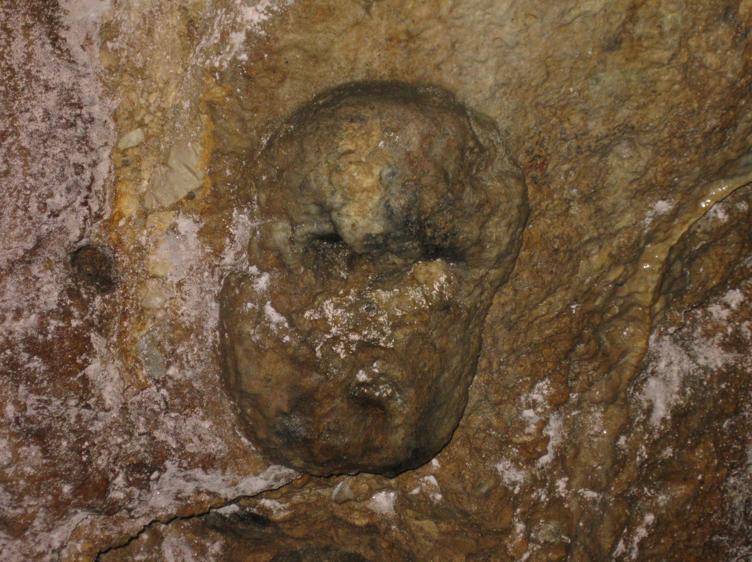 Ipogeo Celtico景点图片