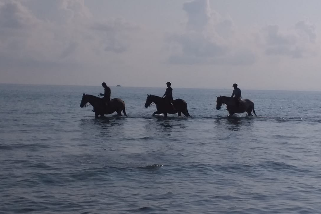 Rodeo Alykes Horse Riding-阿雷克斯必去景点