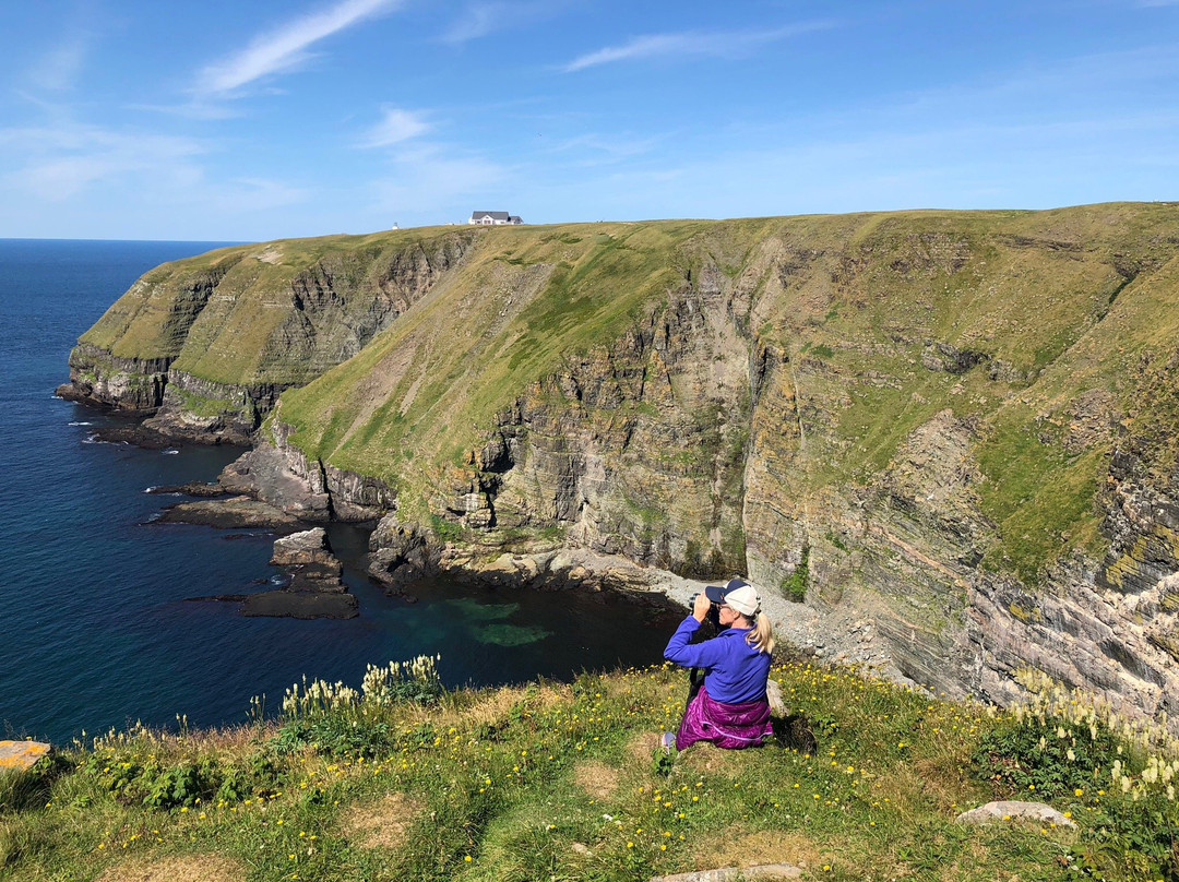 Cape St. Mary's Ecological Reserve景点图片