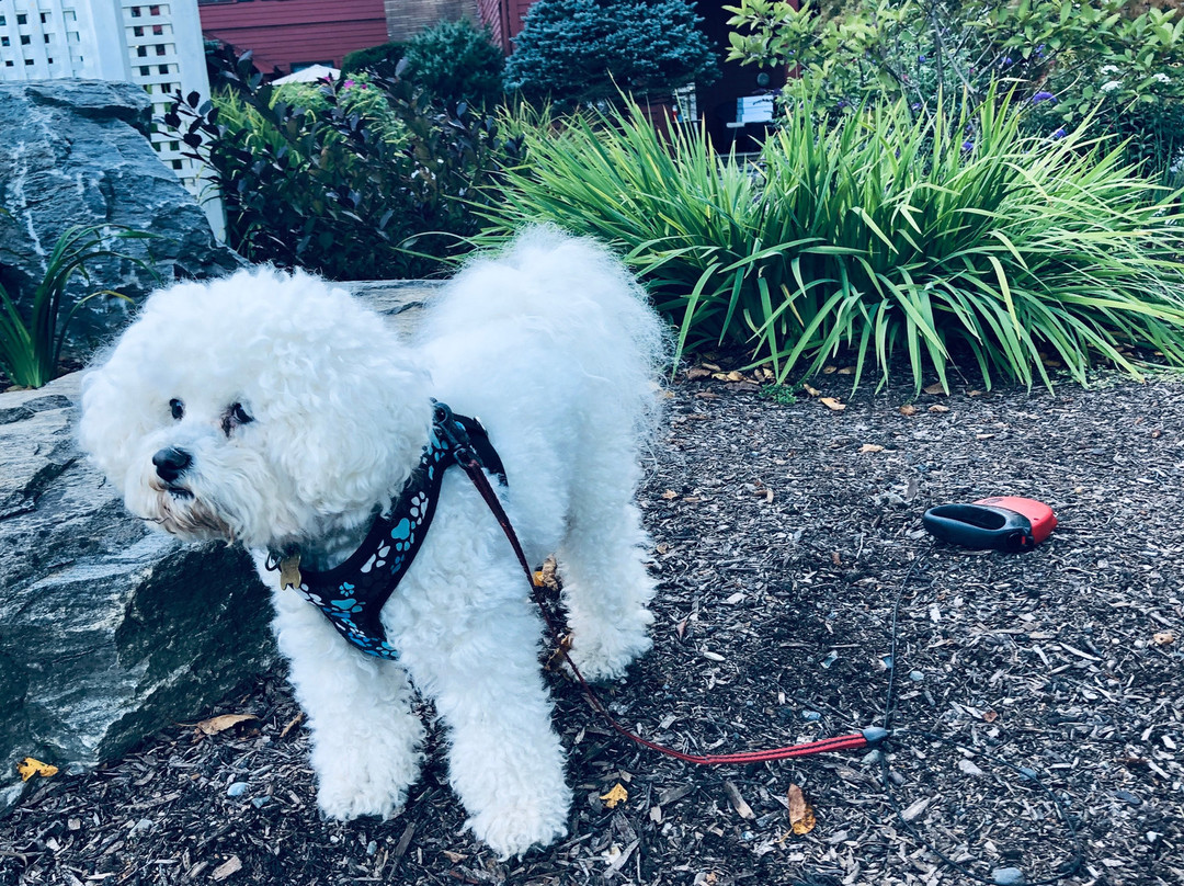 Shaker Mill Inn主图