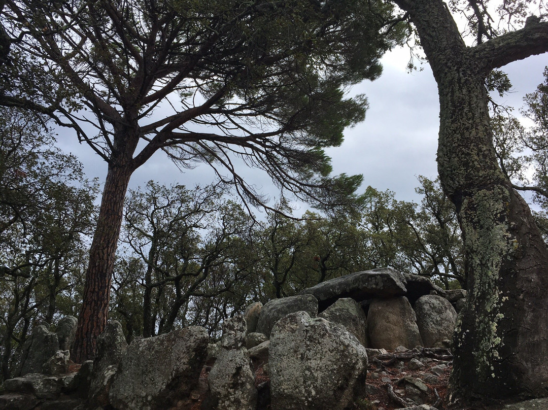 Cova d' en Daina景点图片