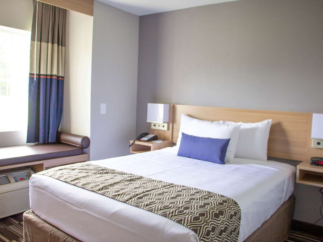 Microtel Inn & Suites by Wyndham Camp Lejeune/Jacksonville主图