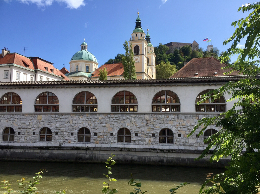 River Ljubljanica Kanal景点图片