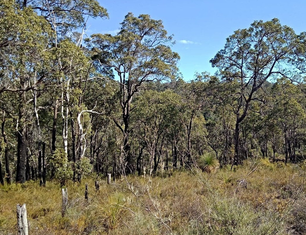 Jorgensen Park Walk Trail景点图片