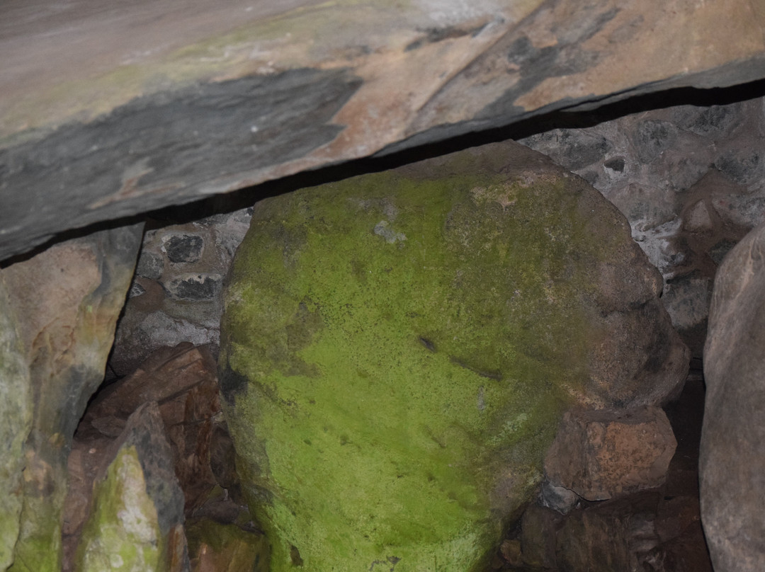 Barclodiad Y Gawres Chambered Tomb-Llanfaelog必去景点