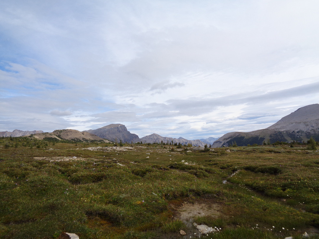 Banff Sunshine Meadows-班夫必去景点