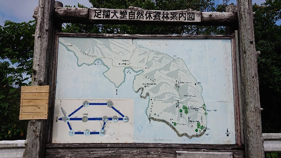 Ashizuri Anettai Shokubutsu-en-土佐清水市必去景点