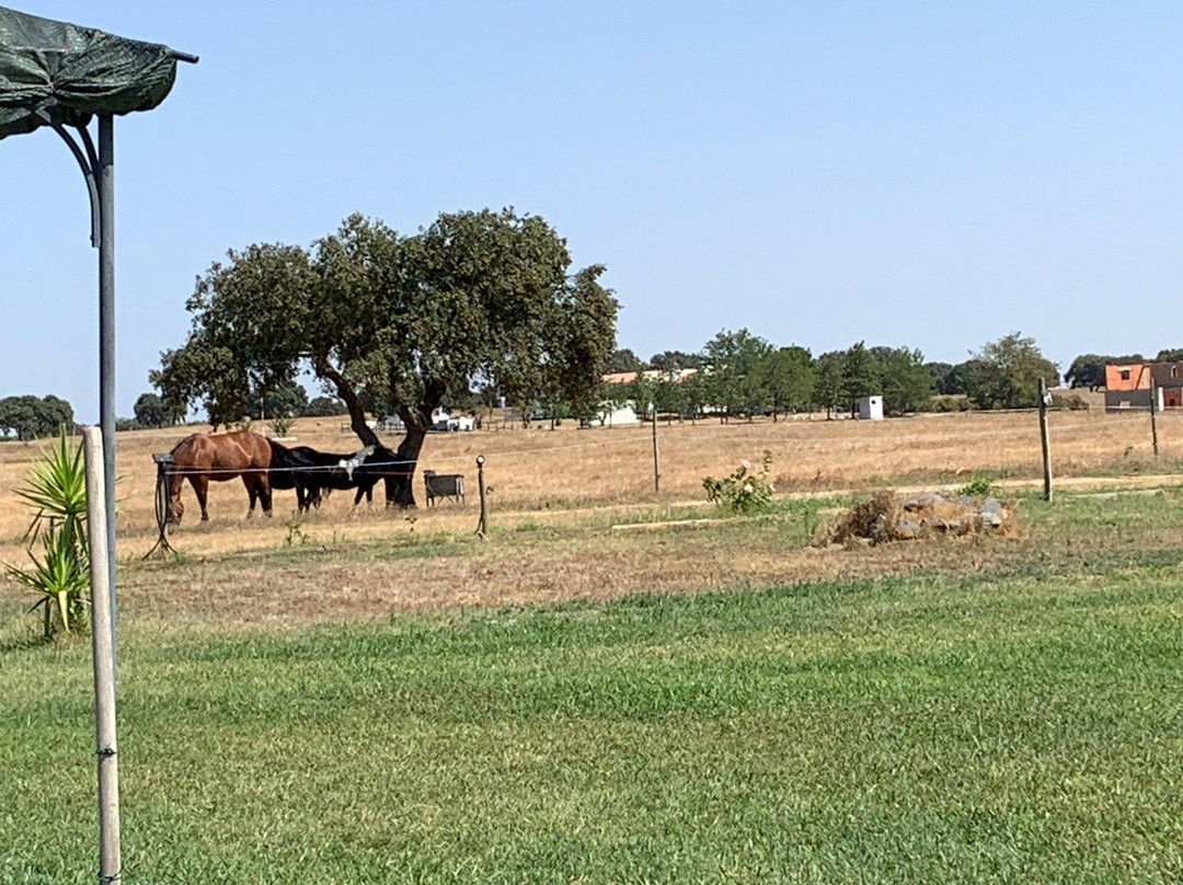 Monte da Azinheira Grande主图