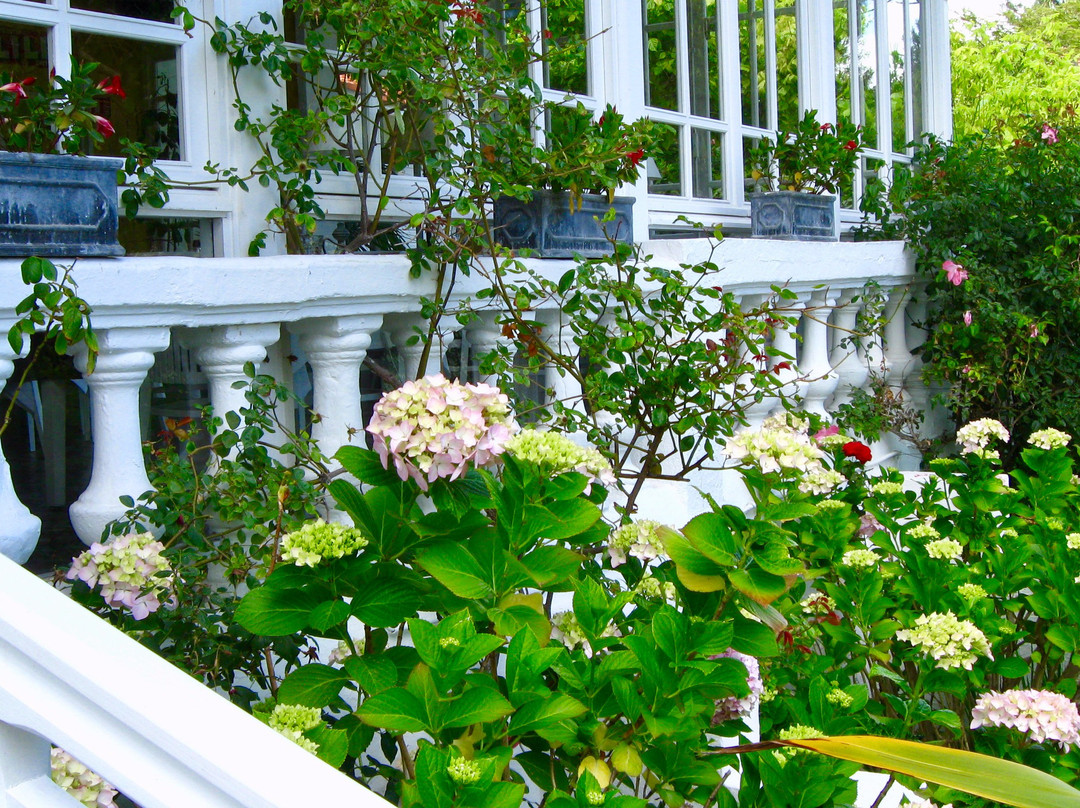Hôtel Des Pins Cap Ferret主图