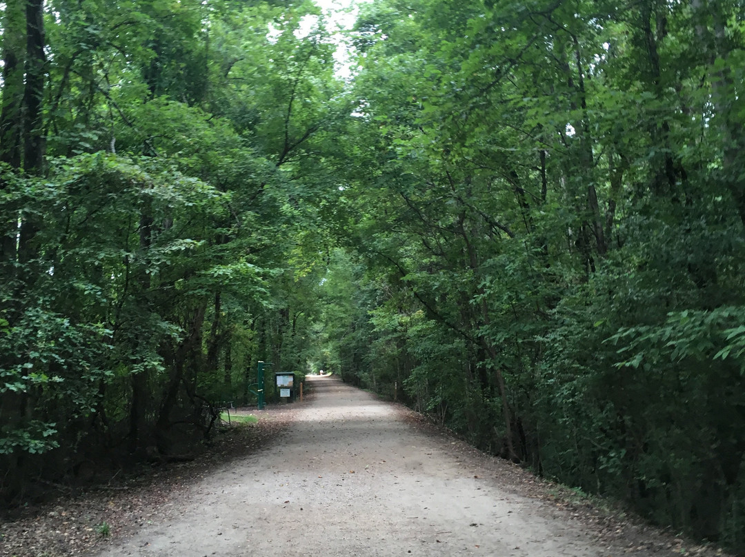 Thacker Mountain Rail Trail景点图片