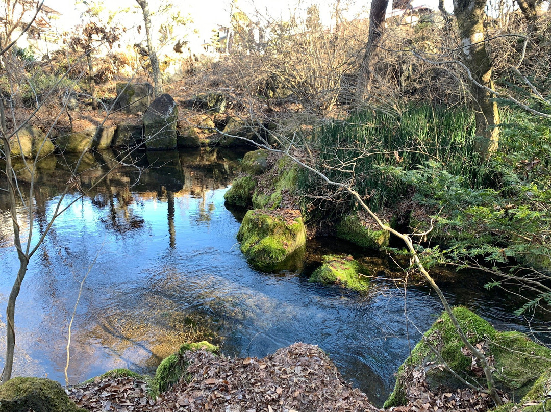 Deguchi Pond景点图片