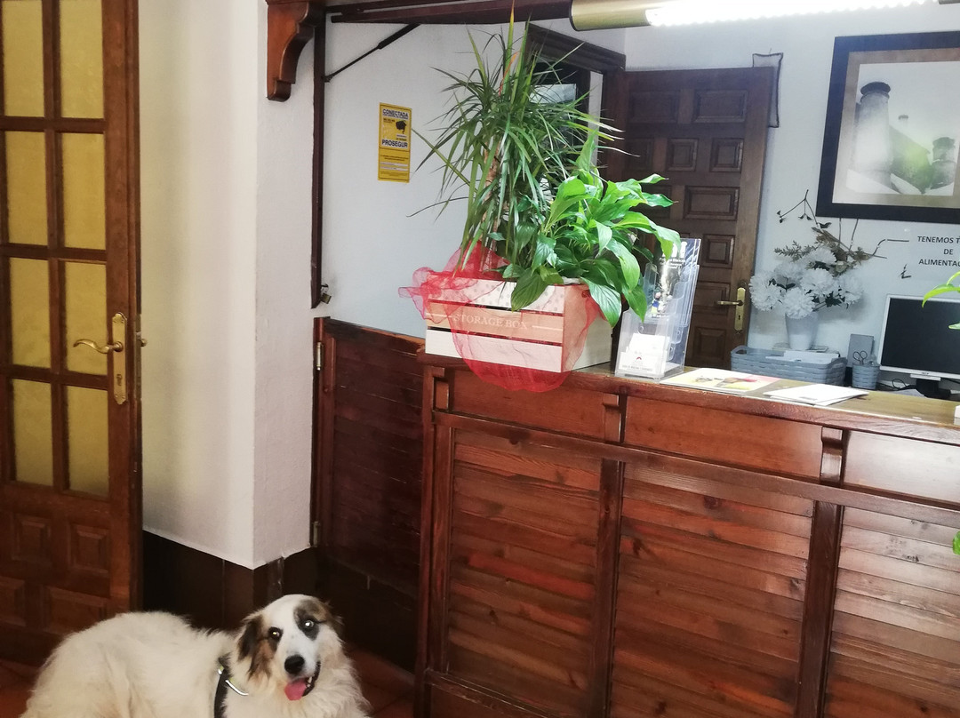 Hotel Castillo d'Acher主图