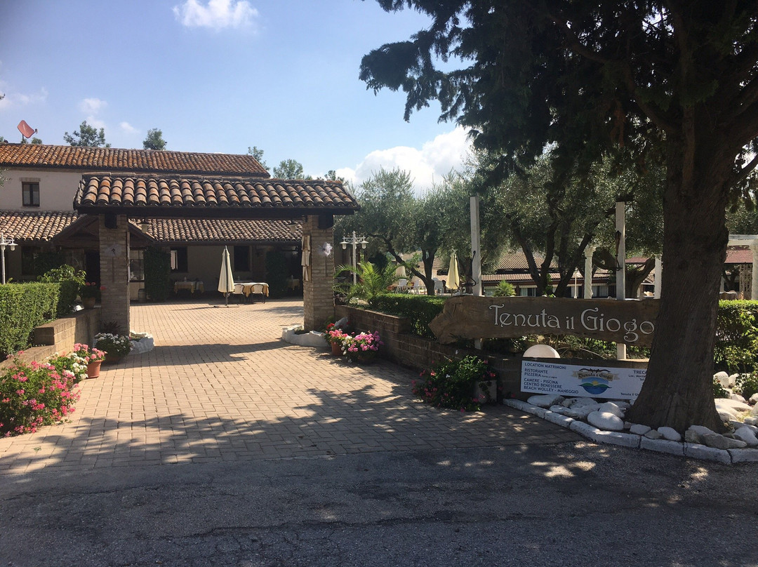Tenuta il Giogo主图