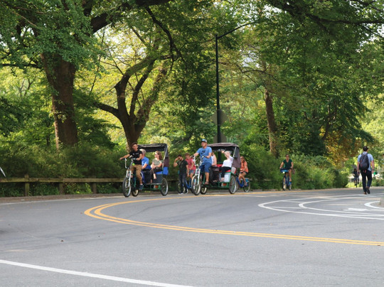 NYC Park Tours™ | Central Park Tours-纽约市必去景点