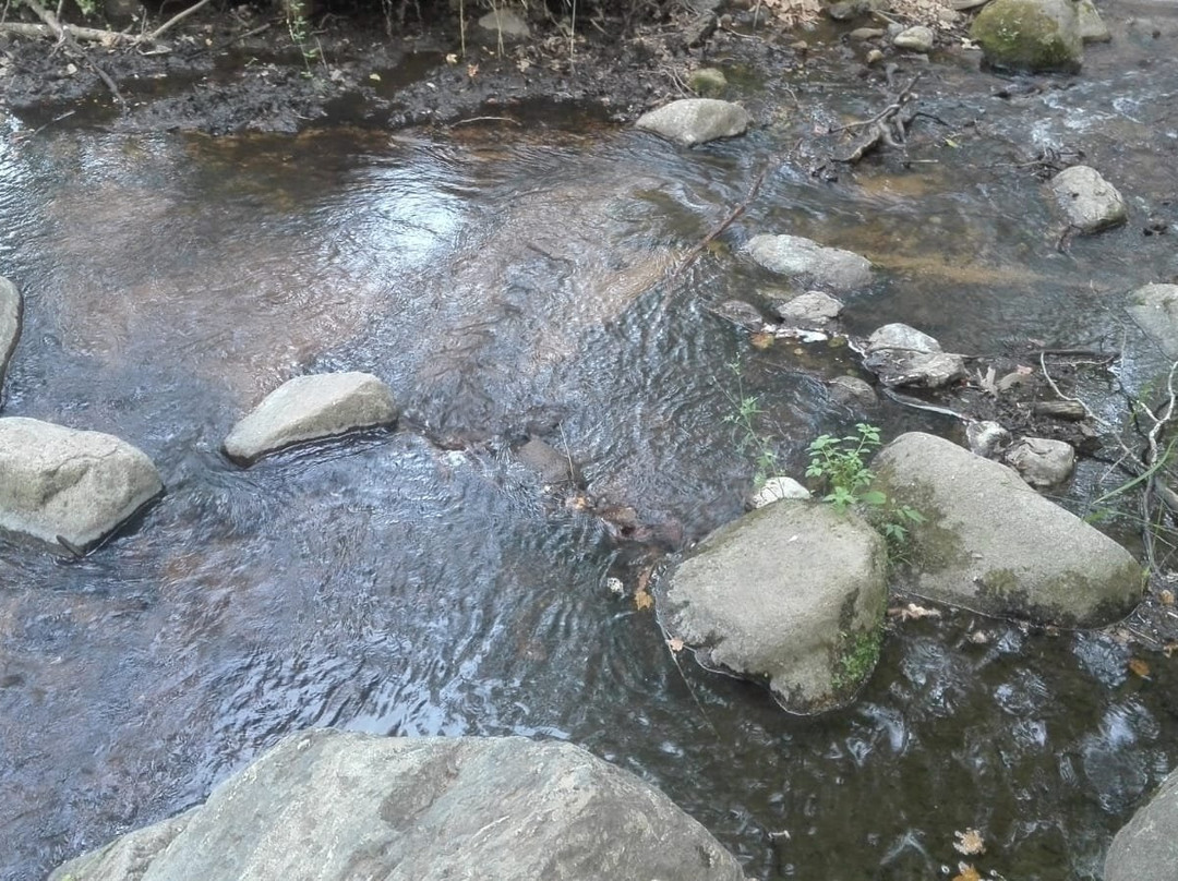 Parque Mediombiental de Gualba-Gualba必去景点