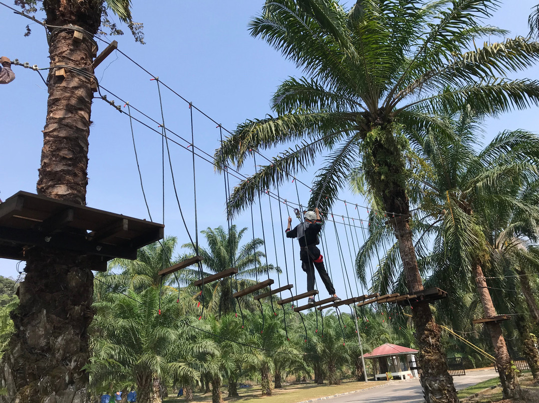 Pekan Nanas旅游攻略图片