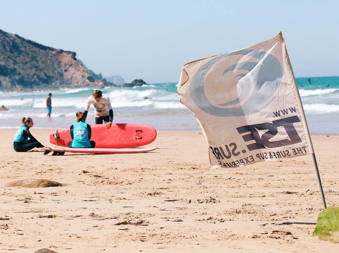 TSE The Surf Experience景点图片