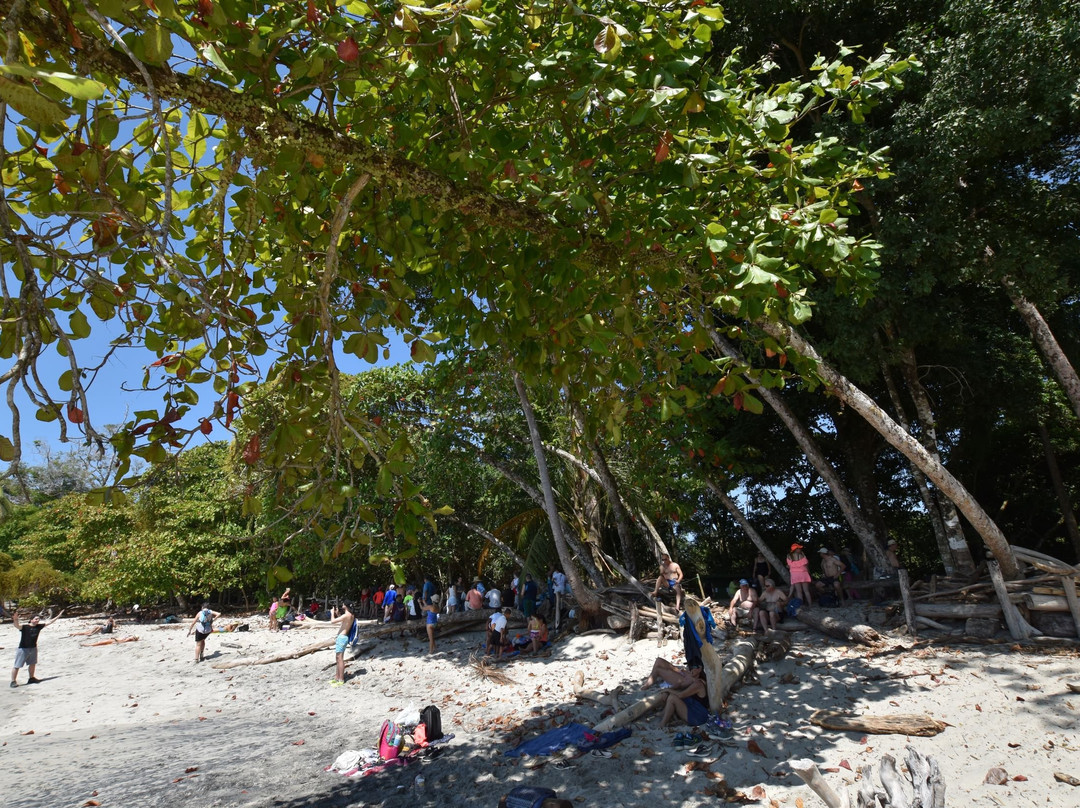 Playas Gemelas景点图片