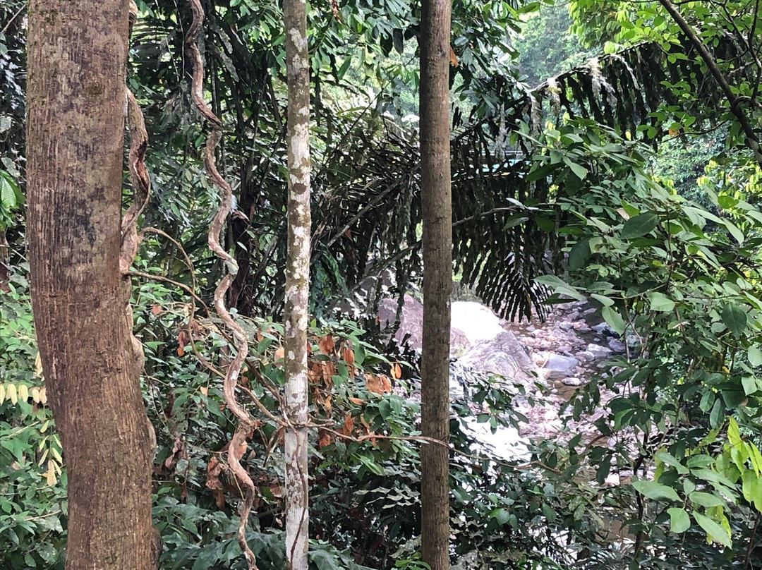 踏缤野生动物保护区景点图片