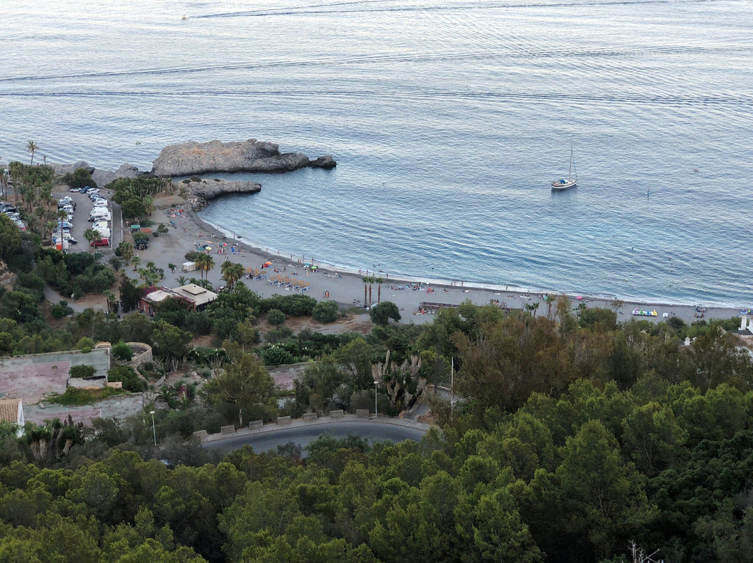 Puerto Deportivo Marina del Este景点图片