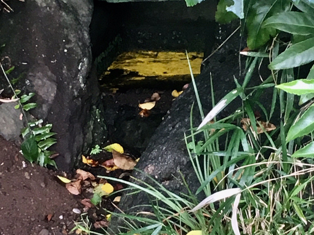 Saneatsu Park-调布市必去景点