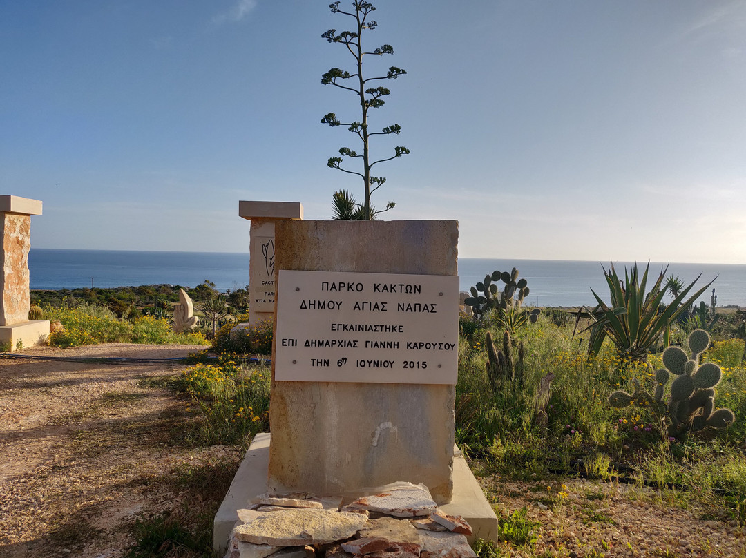 Ayia Napa Cactus Park景点图片