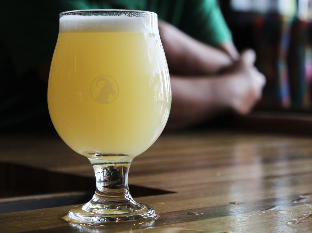 Gilded Goat Brewing Company-科林斯堡必去景点