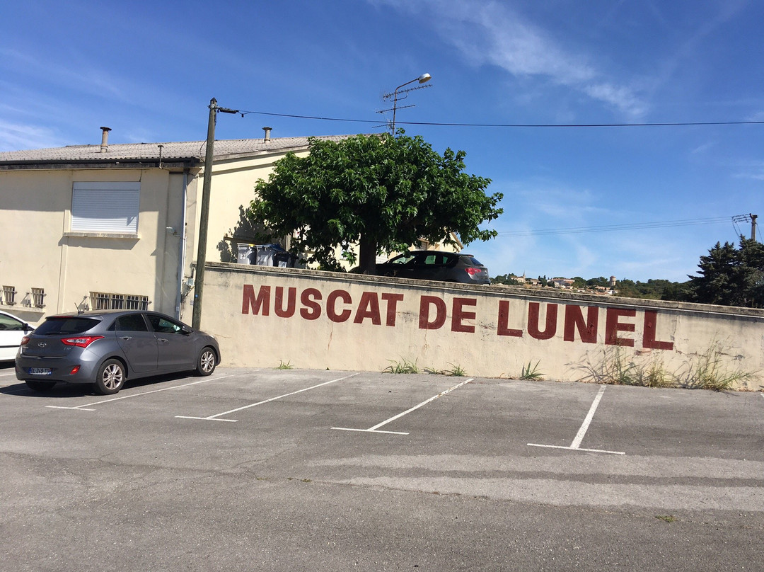 Cave Coopérative Muscat de Lunel