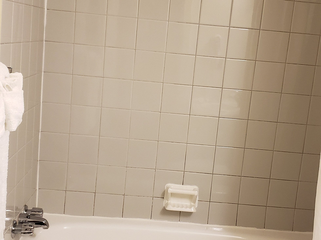 Super 8 by Wyndham Campbellton NB主图