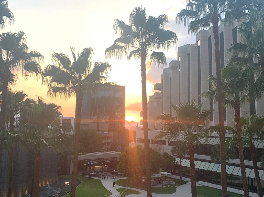 MS Milenium Monterrey, Curio Collection by Hilton主图