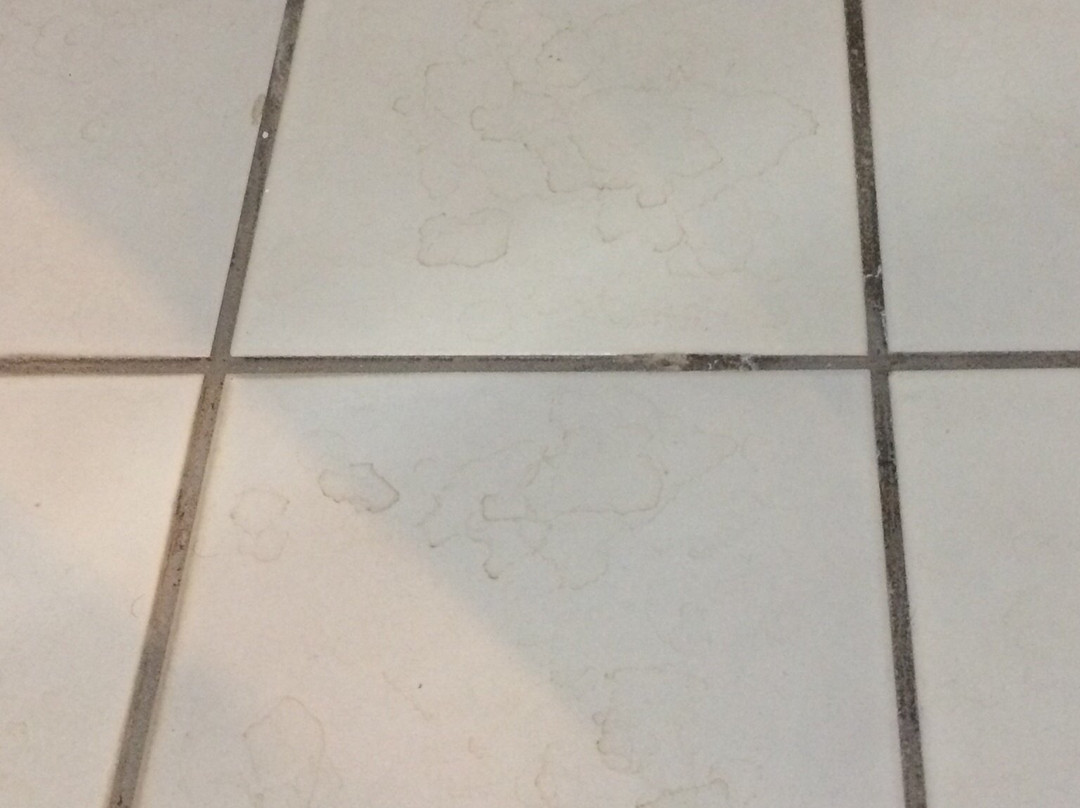 Fênix Hotel Limeira主图