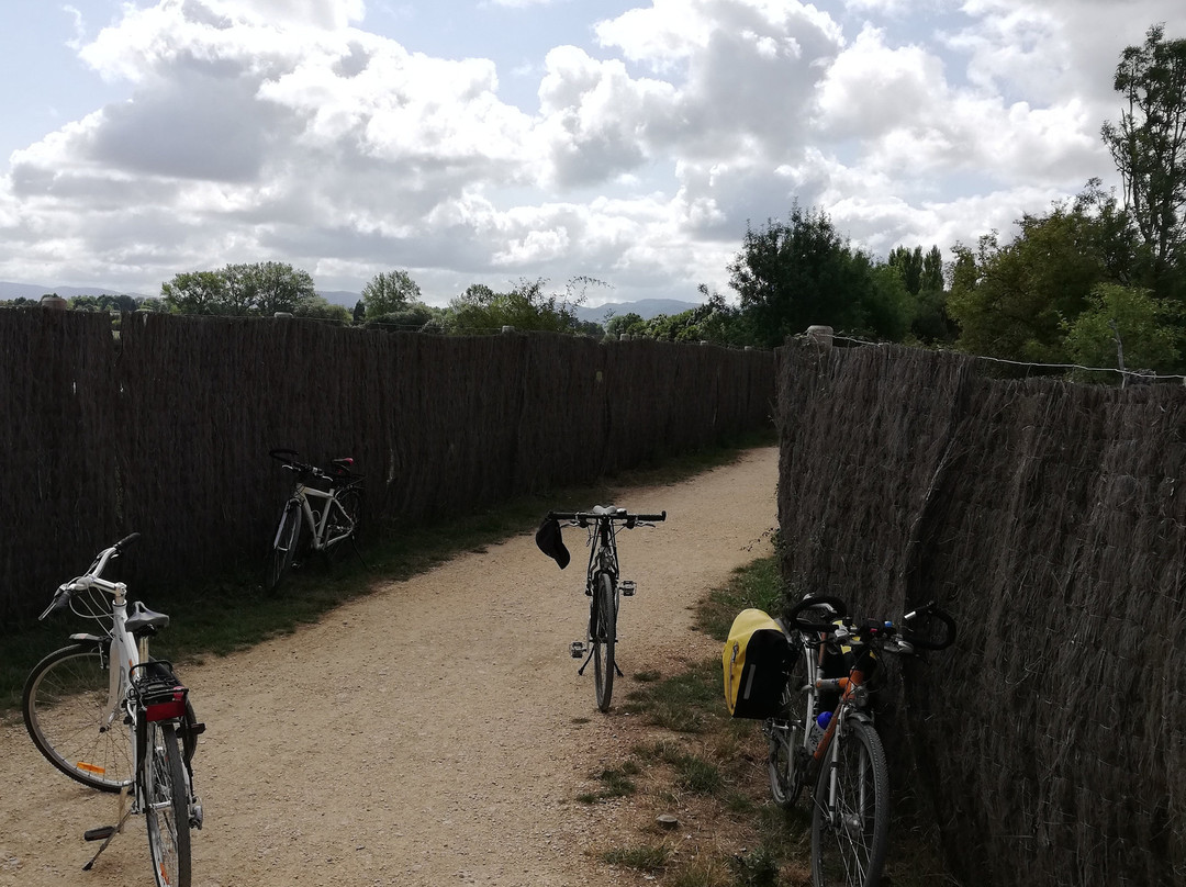 Guiartu-维多利亚必去景点