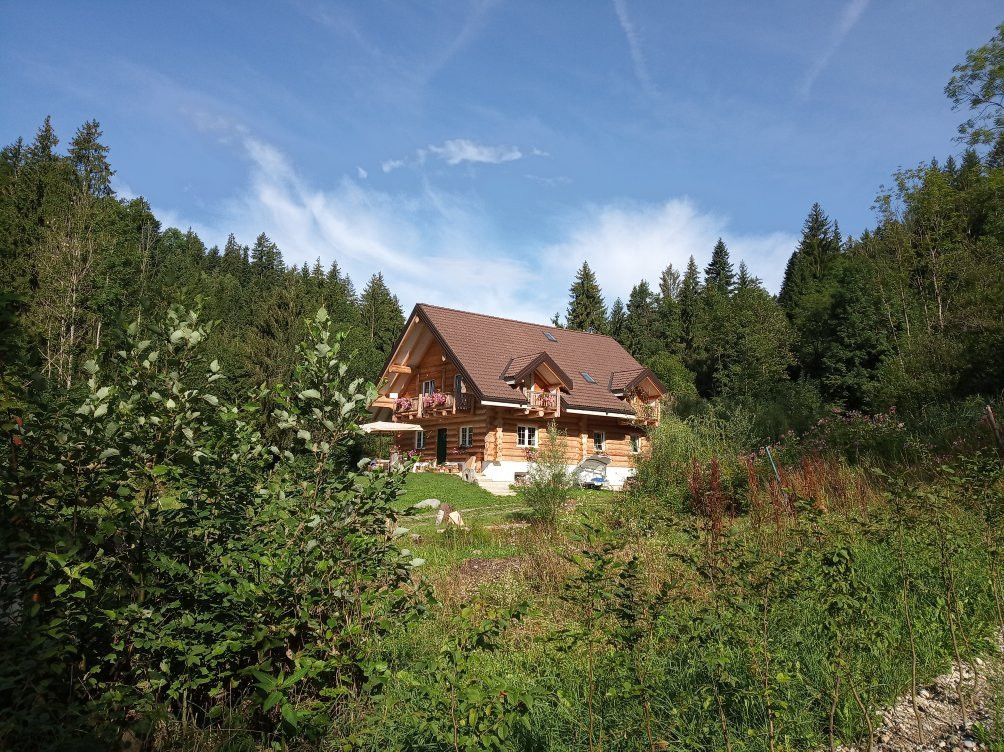 Chalet Le Dorf主图