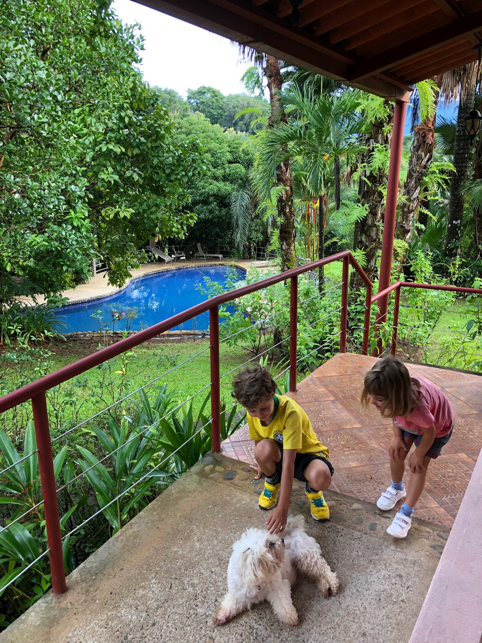 Blue Banyan Inn-官方