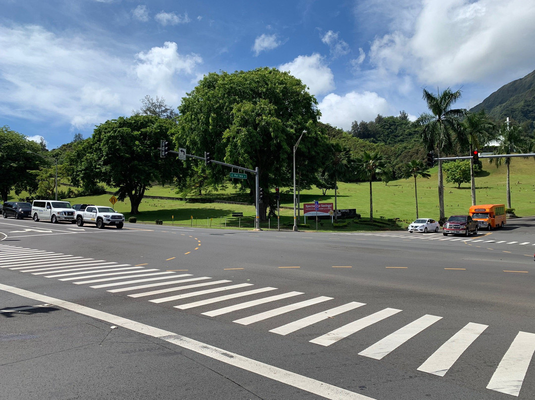 Pu’u Ma’eli’eli Digging Hill-卡内奥赫必去景点