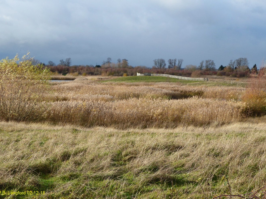 Rspb Langford Lowfields-特伦特河畔纽瓦克必去景点