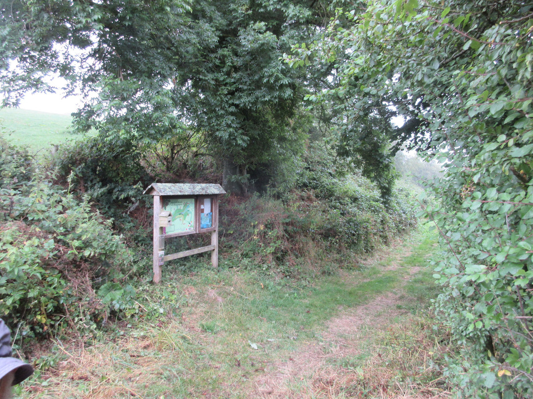Holyford Woods Local Nature Reserve-Colyford必去景点