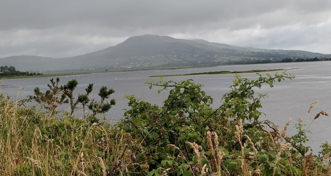 Inch Wildfowl Reserve-Burt必去景点