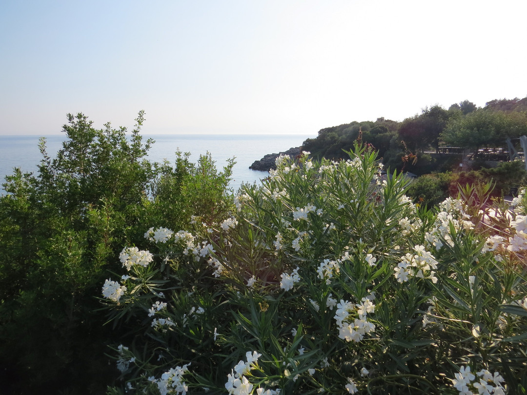 Adrina Resort & Spa主图