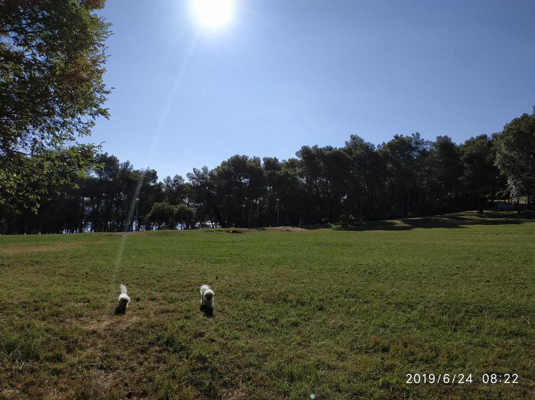 Apartments Kanegra Plava Laguna主图