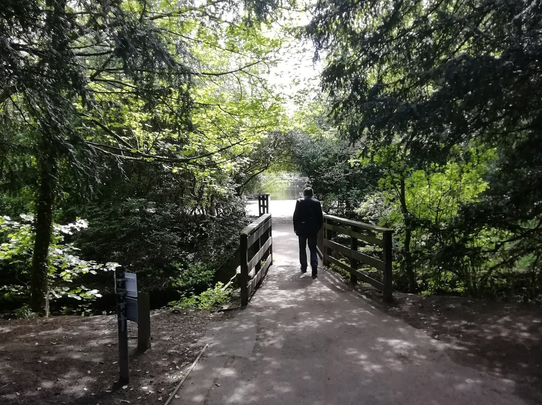 Manor Park-Glossop必去景点
