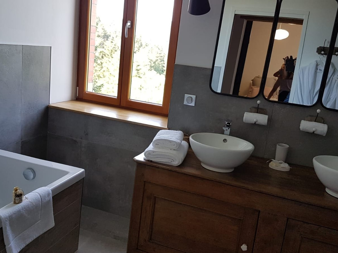 Des Sapins Aux Etoiles主图