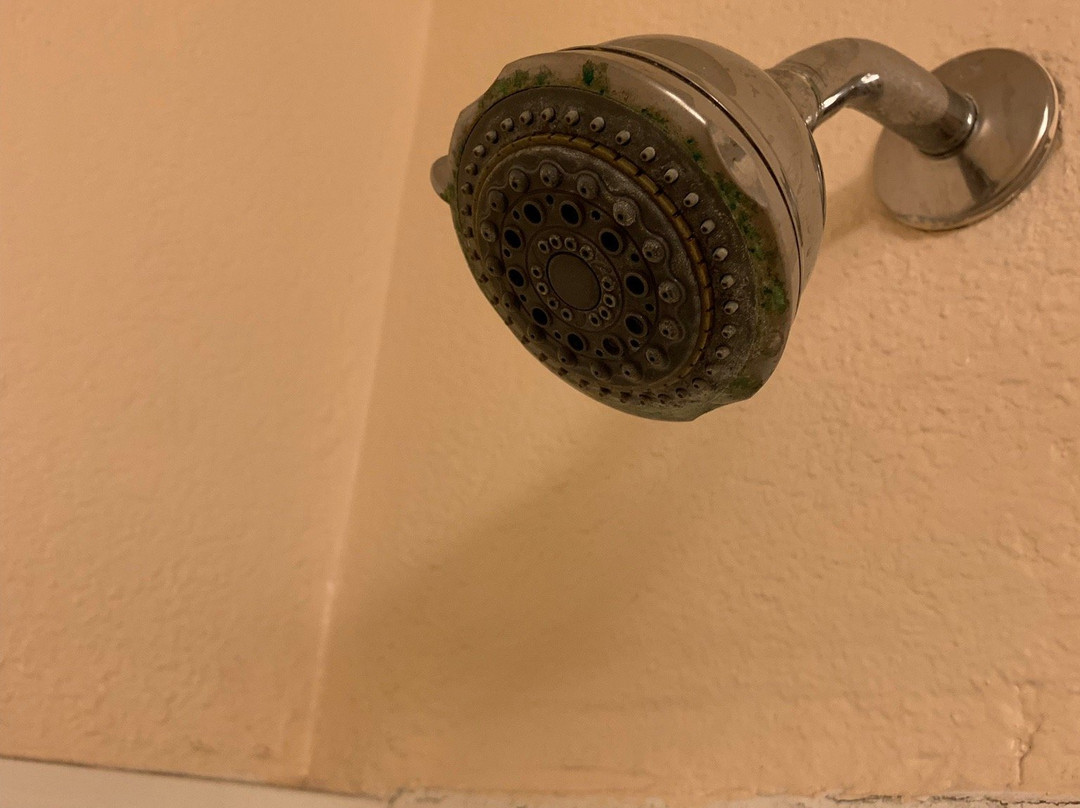 Texas Inn & Suites主图