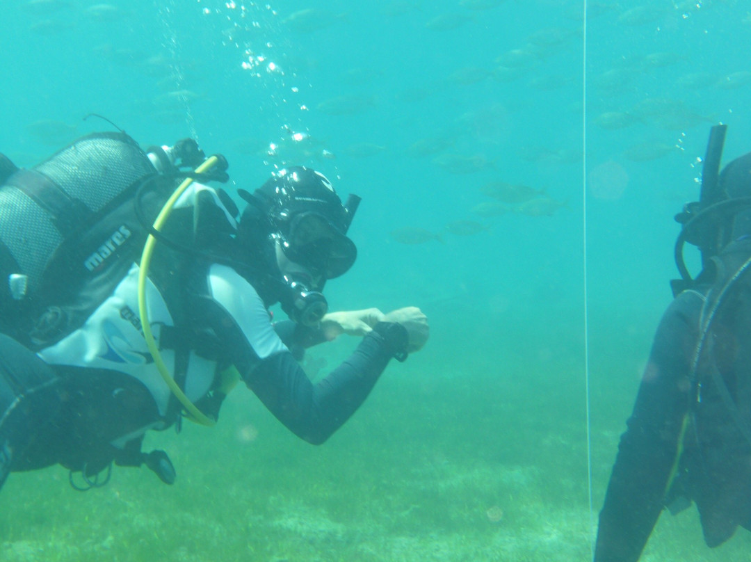 Kalamata Dive Center景点图片
