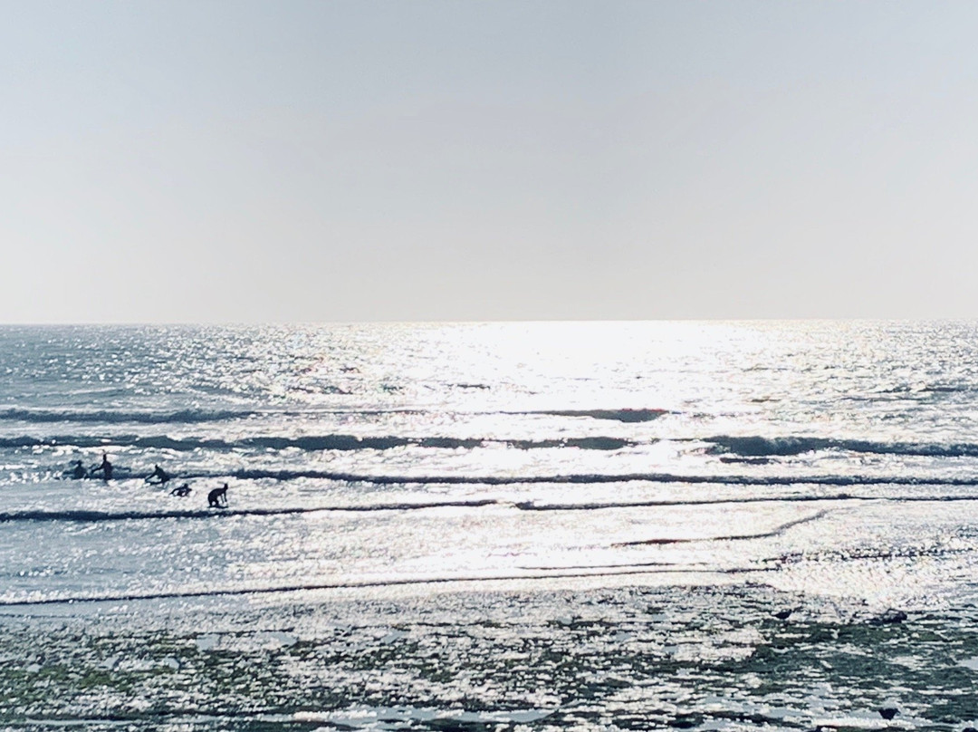 Praia do Matadouro景点图片