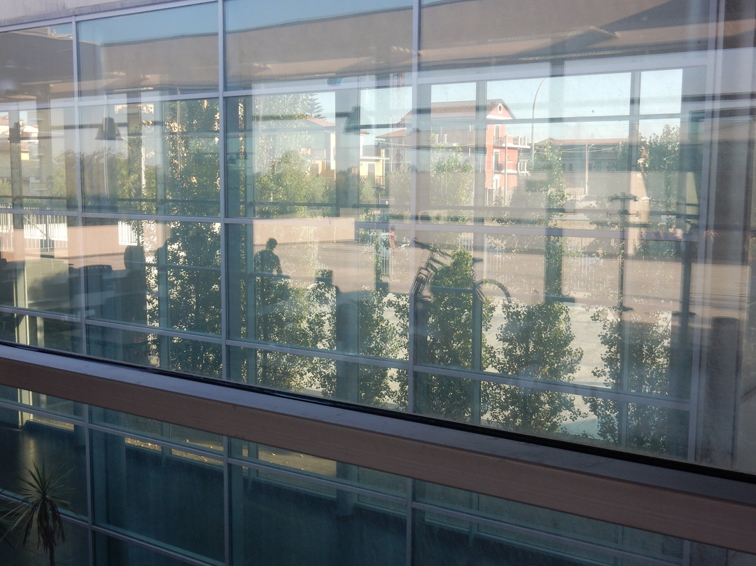 Auditorium Nelson Mandela景点图片